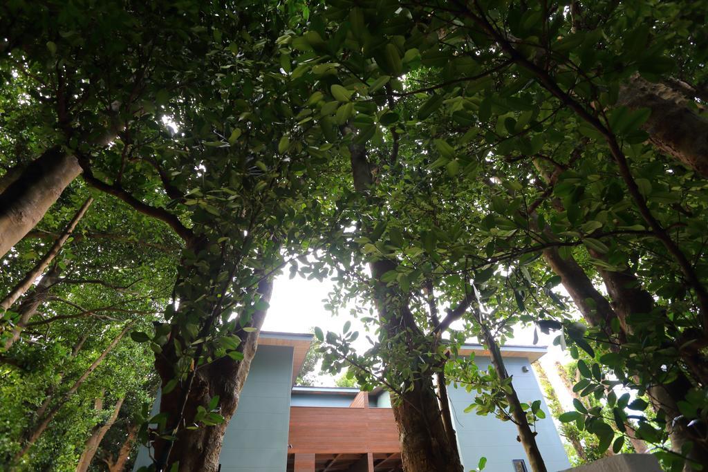 Tabinoteitaku Okinawa Bise Homann Concept Villa Motobu Kültér fotó